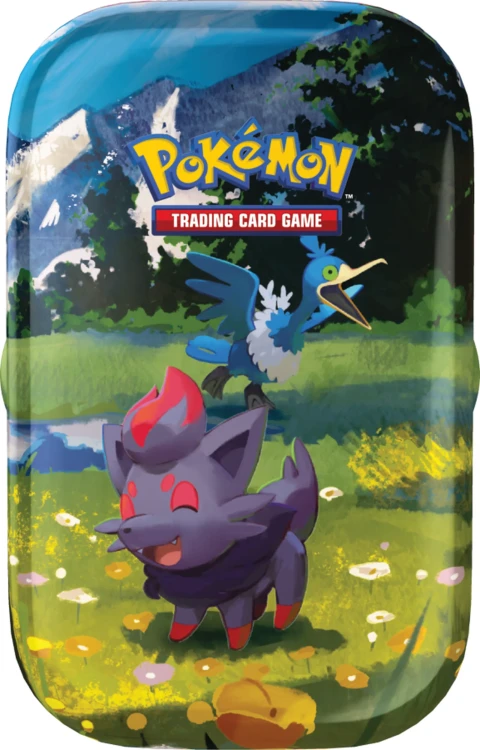 Mini Tin Zorua Cramorant puszka Pokémon TCG Mega Evolution Ascended Heroes - front