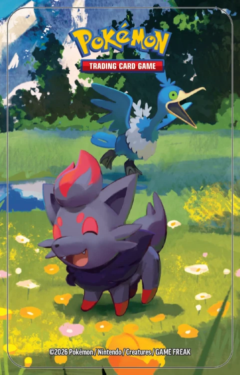 Mini Tin Zorua Cramorant puszka Pokémon TCG Mega Evolution Ascended Heroes - grafika