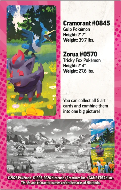 Mini Tin Zorua Cramorant puszka Pokémon TCG Mega Evolution Ascended Heroes - karta z Pokemonami