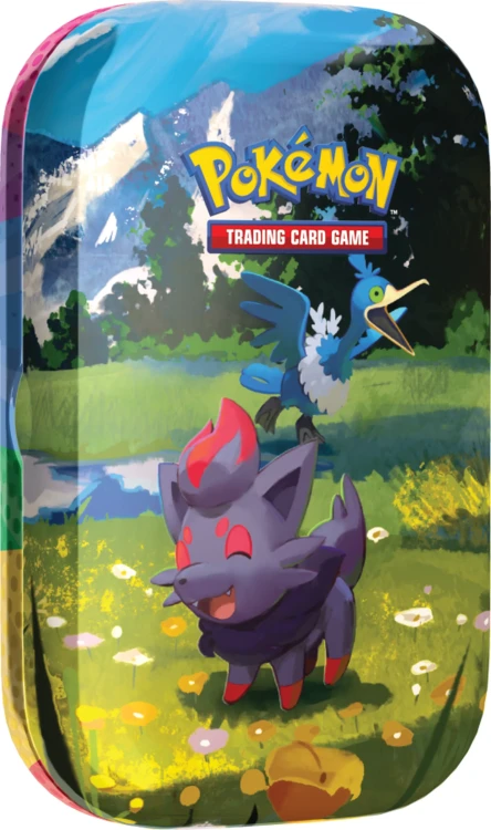 Mini Tin Zorua Cramorant puszka Pokémon TCG Mega Evolution Ascended Heroes